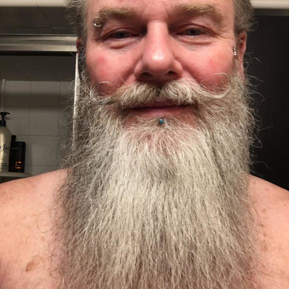 utahcybear